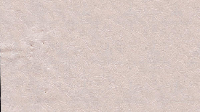 Кожа Бриллиант Астор 2504 фото 1