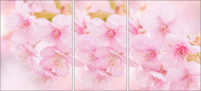 Фотопечать "R481" фото 1