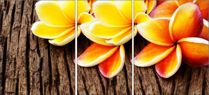 Фотопечать "R428" фото 1
