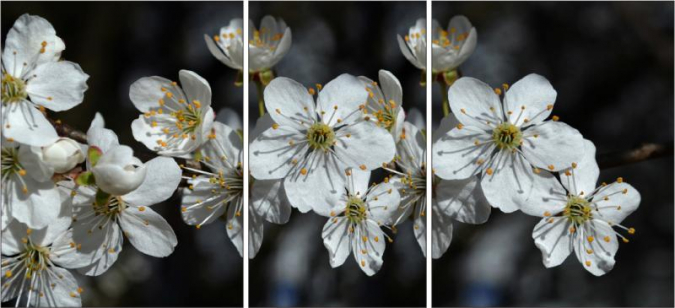 Фотопечать "R472" фото 1