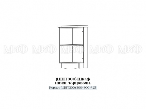 ШНТ 300 фото 1