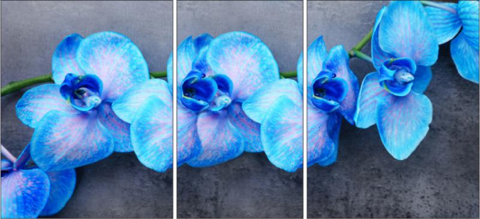 Фотопечать "R495" фото 1